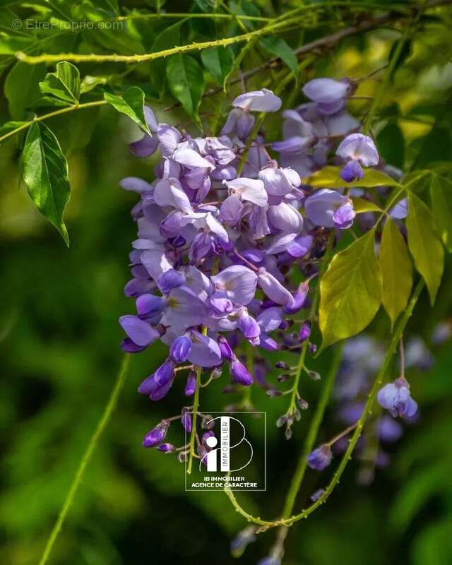 Maison à BOURRON-MARLOTTE
