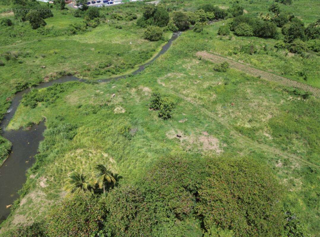 A vendre: terrain 1833 m2 petit-bourg 97170 - photo 6