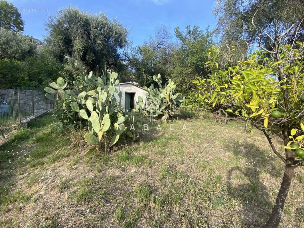 Terrain à LE BAR-SUR-LOUP