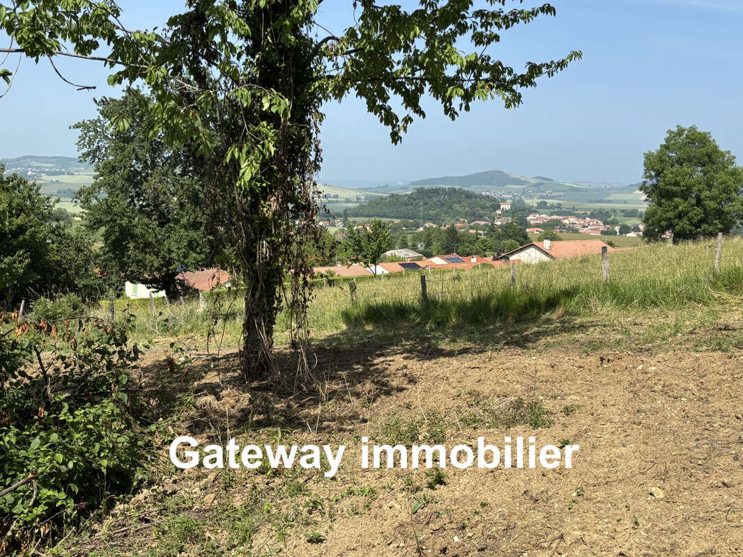 Terrain à SAINT-GEORGES-SUR-ALLIER