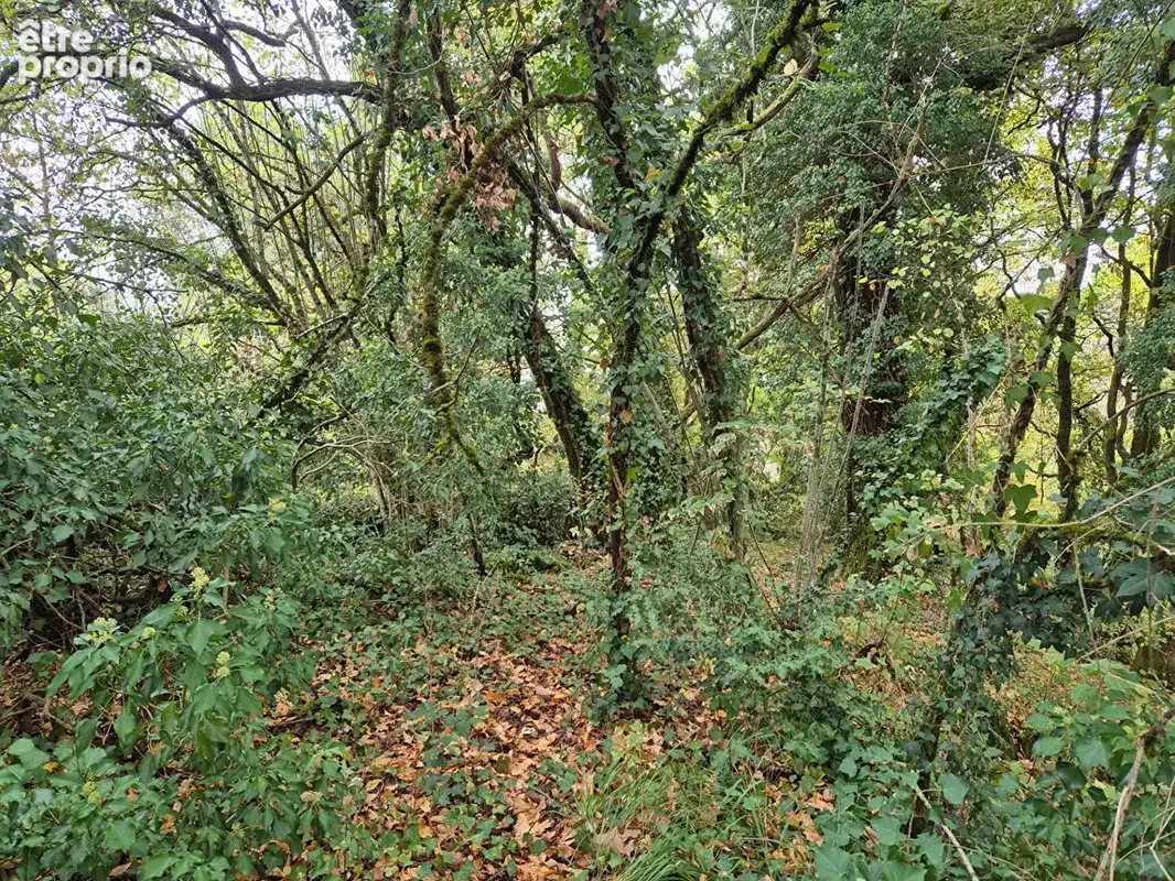 CORRÈZE. Près d'UZERCHE.  Grange en pierre avec un jardin de 1 395 m² et un terrain boisé à proximité immédiate de 10 340 m². - photo 10
