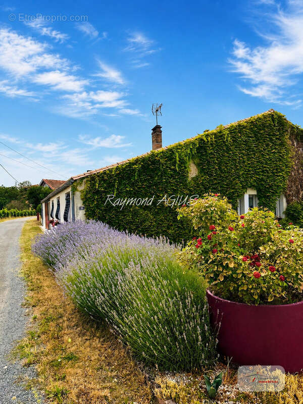 Charmante longère de vigneron avec studio, piscine et séchoir traditionnel - photo 2
