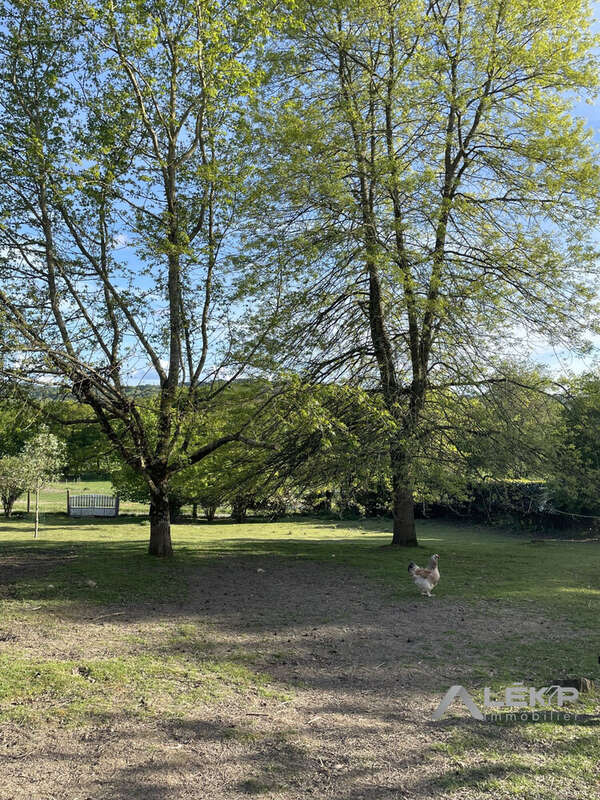Terrain à SAINTE-MARIE