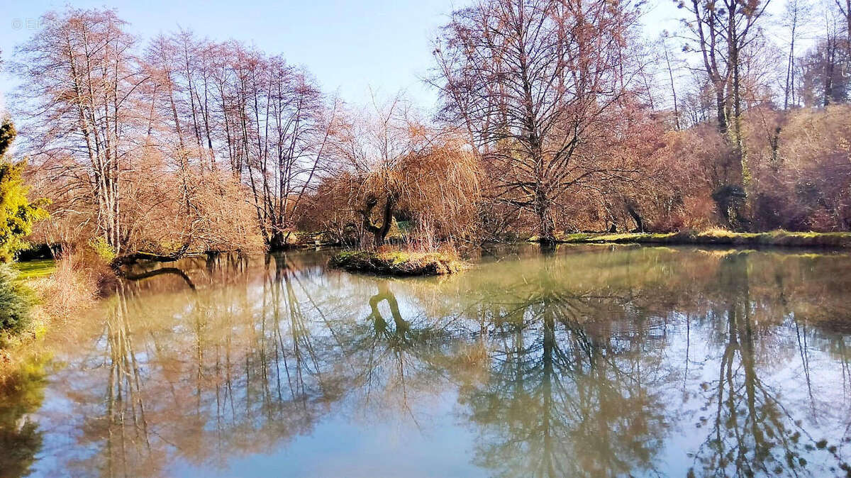 Charente. Moulin en Pierre pour Amoureux de la Nature, 8 ha, Ruisseau, Etang, Maison d'Amis, Bois - photo 3