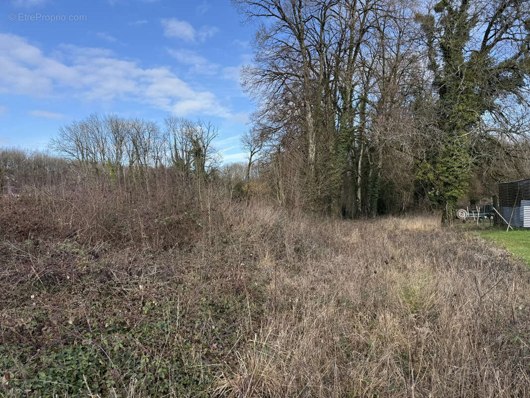 Terrain à SAINT-PHAL