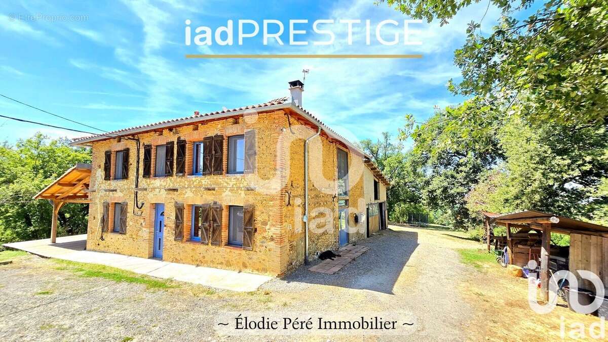 Photo 5 - Maison à MONTESQUIEU-VOLVESTRE