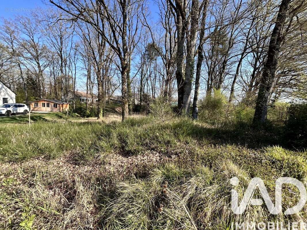 Photo 2 - Terrain à ROMORANTIN-LANTHENAY