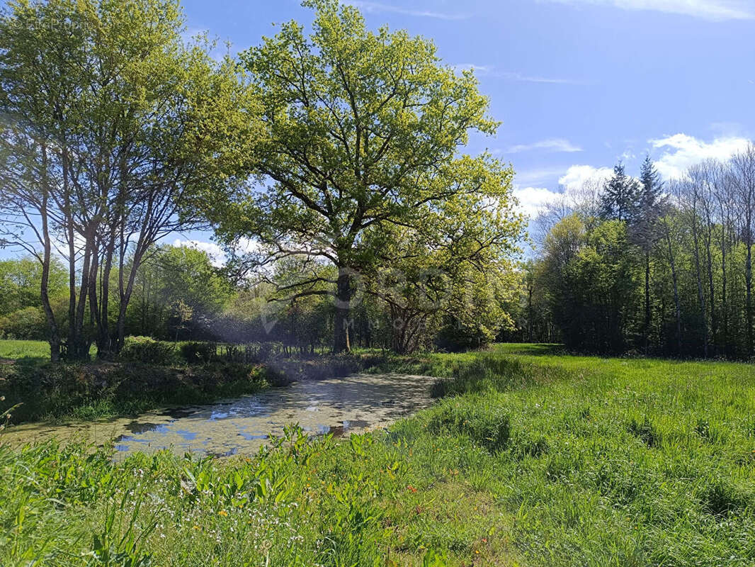 Charme et Confort - Mézilles - photo 17