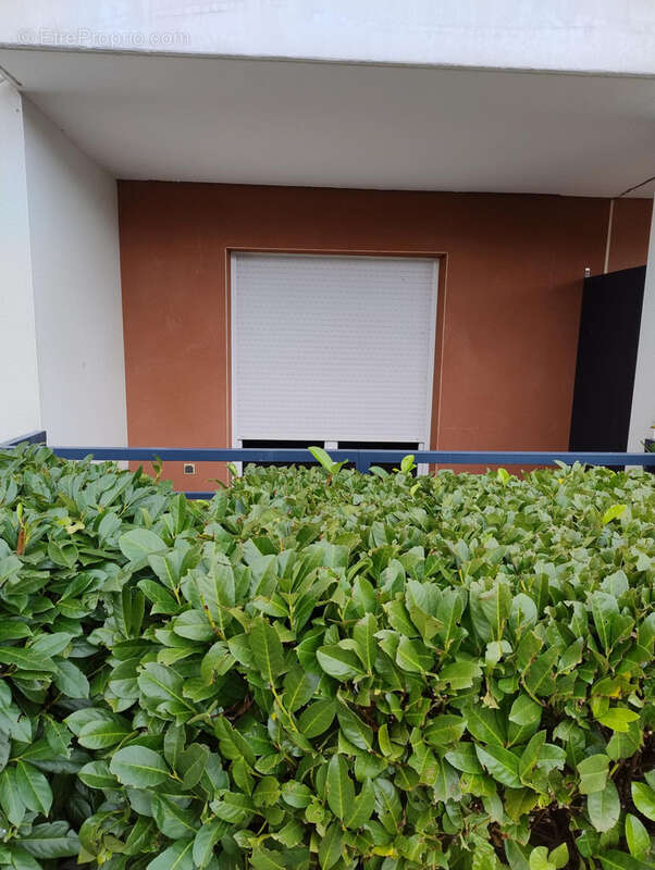 Appartement à AUCAMVILLE