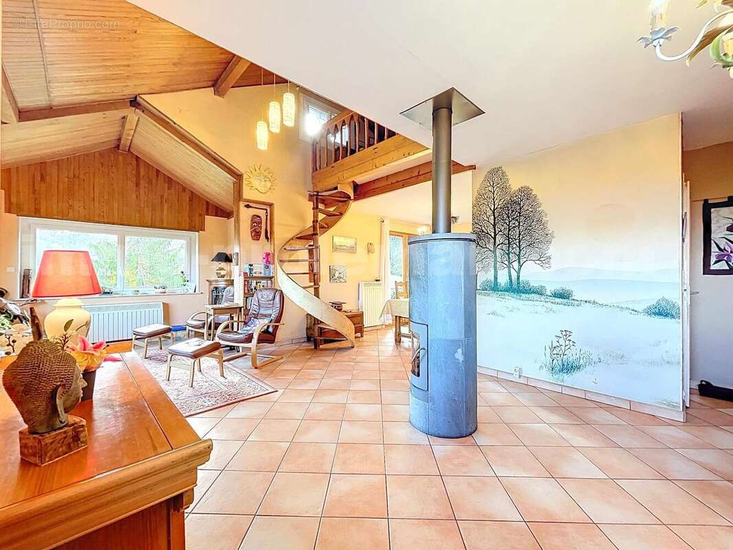 Maison-individuelle-monnetier-mornex-vue-mont-Blanc-Voirons-charme-caractère-proche-frontière-suisse-genève-terrain - Maison à MONNETIER-MORNEX