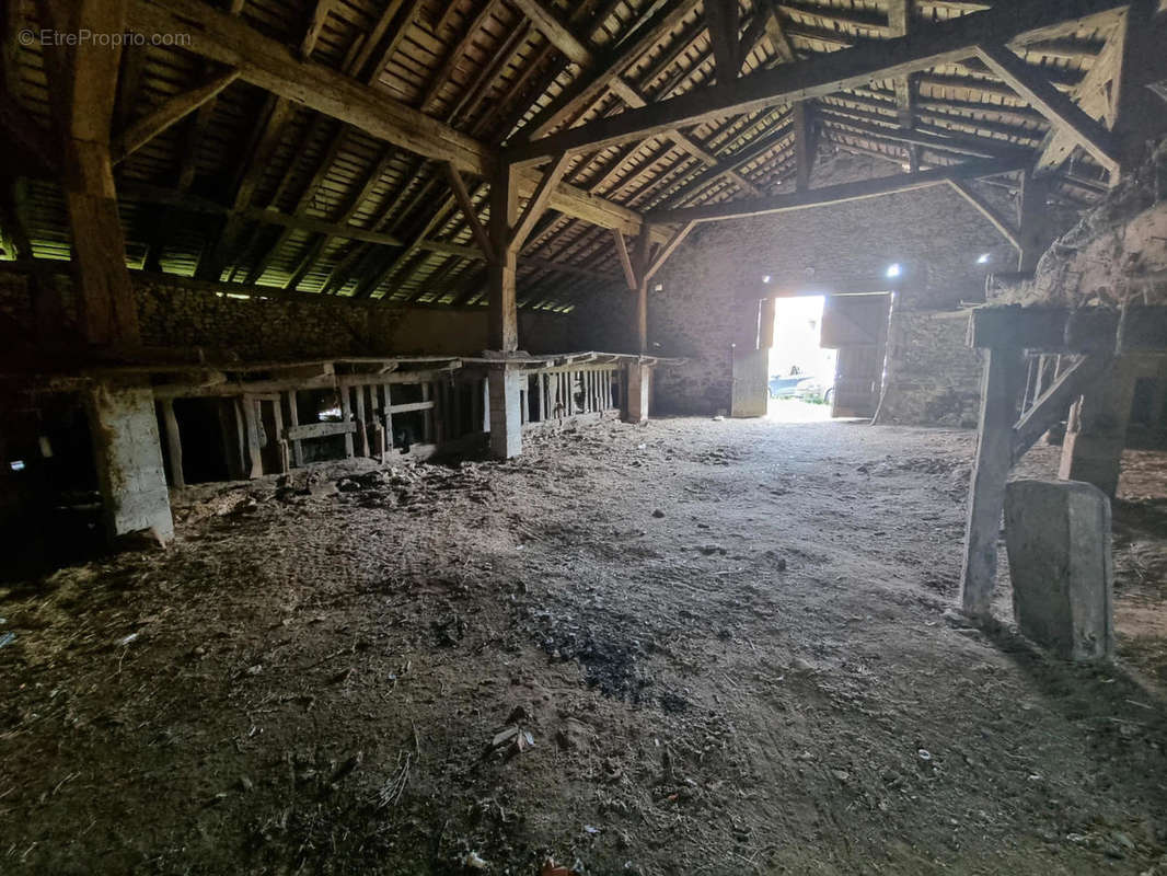 20230817_105256 - Maison à SAINT-MARTIN-LE-PIN