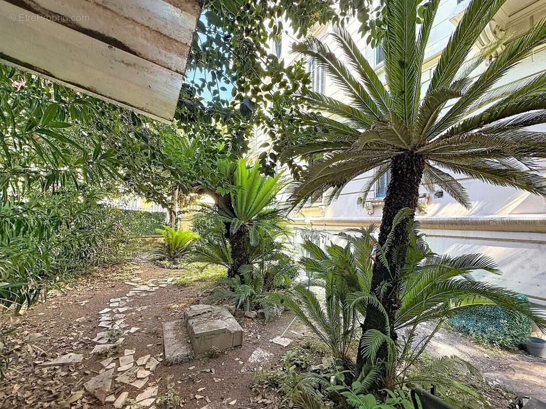 Cannes 300 m. palais : bourgeois a renover + jardin - photo 15