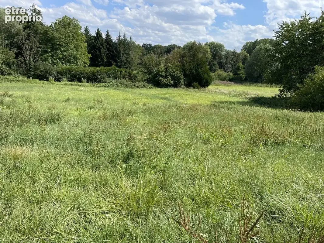 Terrain à CHATILLON-SUR-LOIRE