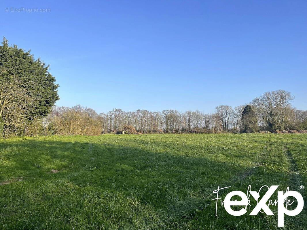 Terrain à ANGIENS