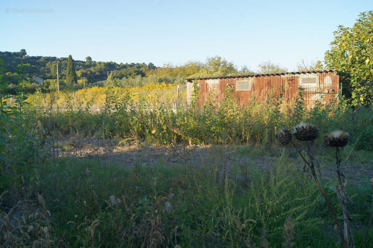 Terrain à SAINT-RESTITUT
