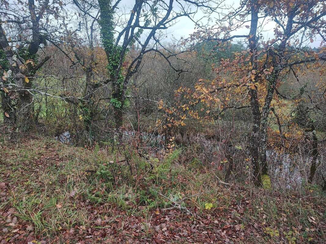 Photo 7 - Maison à BEAUMONT-DU-PERIGORD