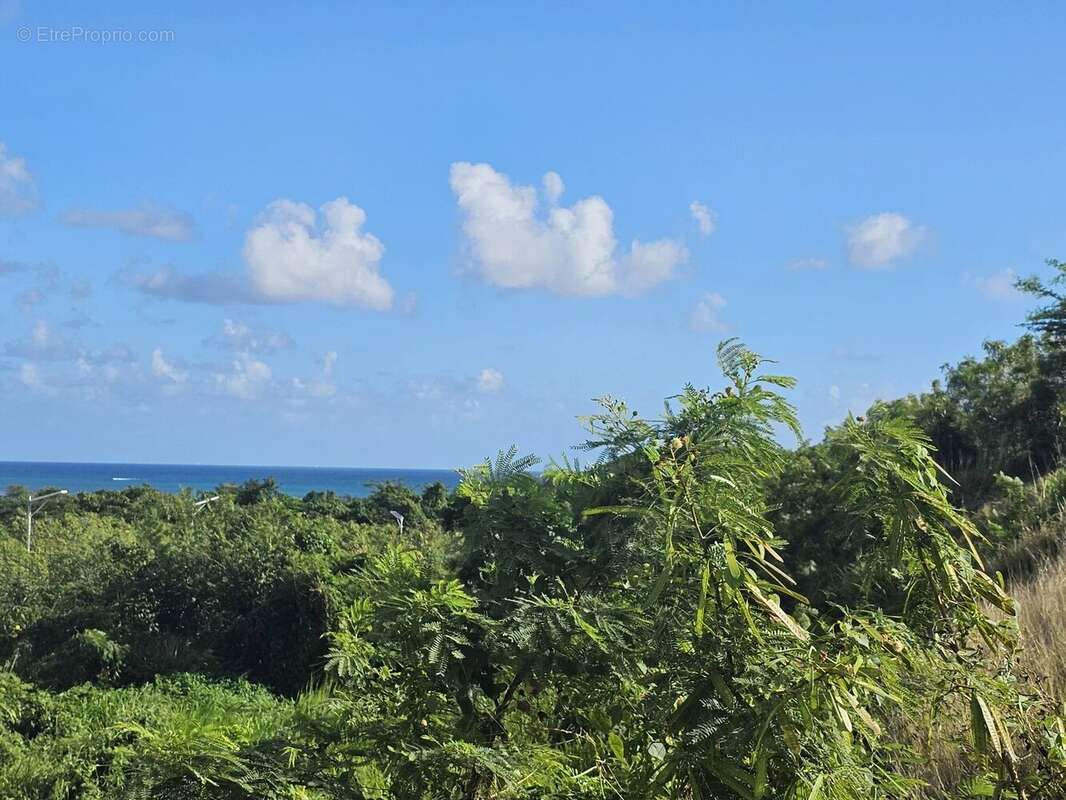 Terrain à LE DIAMANT