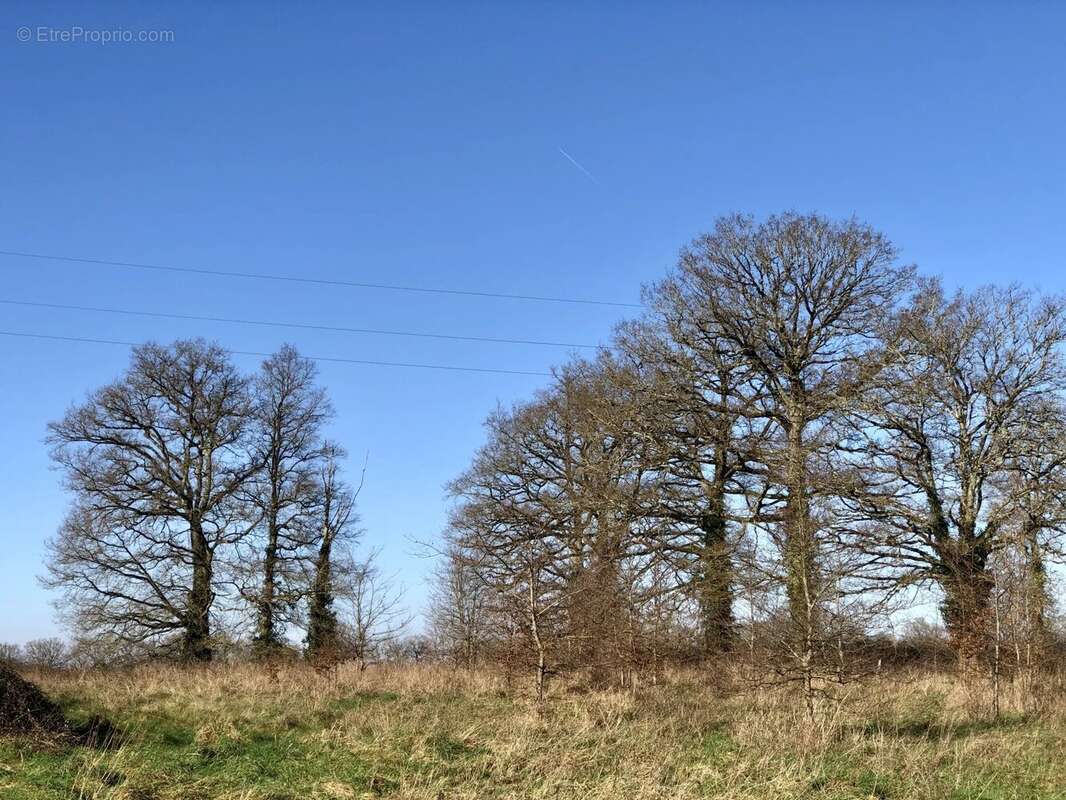 Maison à BUSSIERE-POITEVINE