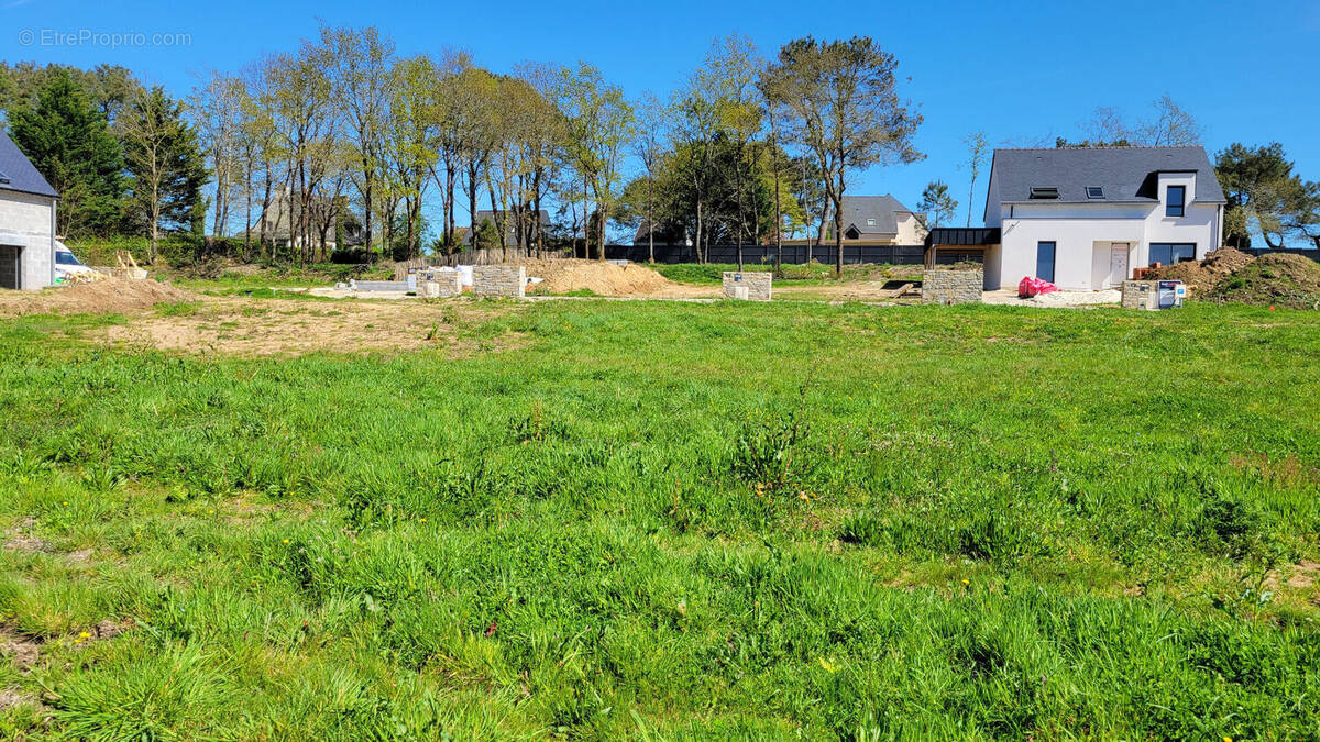 Terrain à LOCOAL-MENDON