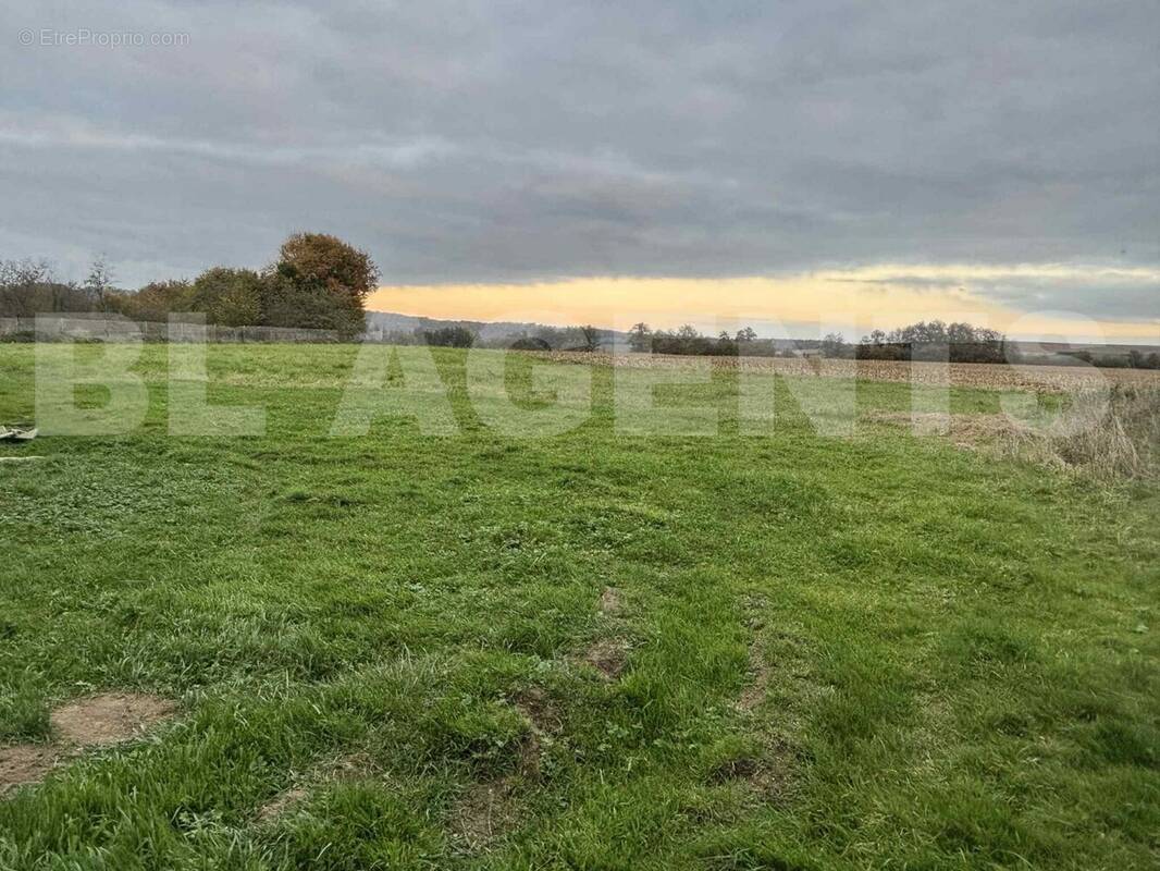 01381c3f-6fb6-4dee-ba30-be3e34bd8241 - Maison à MOUZON