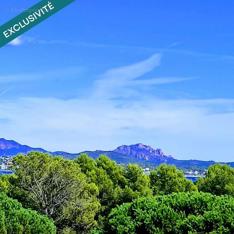 Photo 2 - Maison à FREJUS