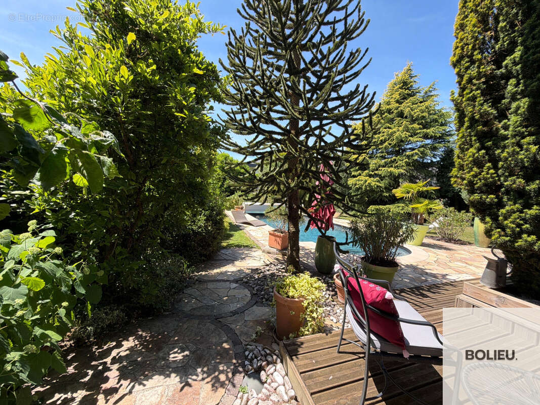 Cranves-Sales - Spacieuse villa avec piscine + Dépendances - photo 21