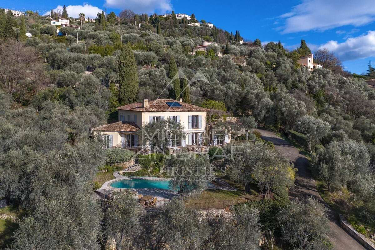 Elegante  Villa position dominante avec vue mer et oliveraie - photo 7