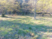 Terrain à VAISON-LA-ROMAINE