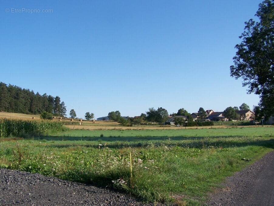 Terrain à YSSINGEAUX