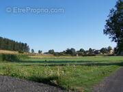 Terrain à YSSINGEAUX