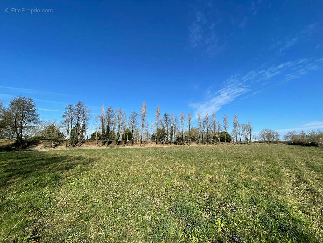 Terrain à LA CHAPELLE-ACHARD