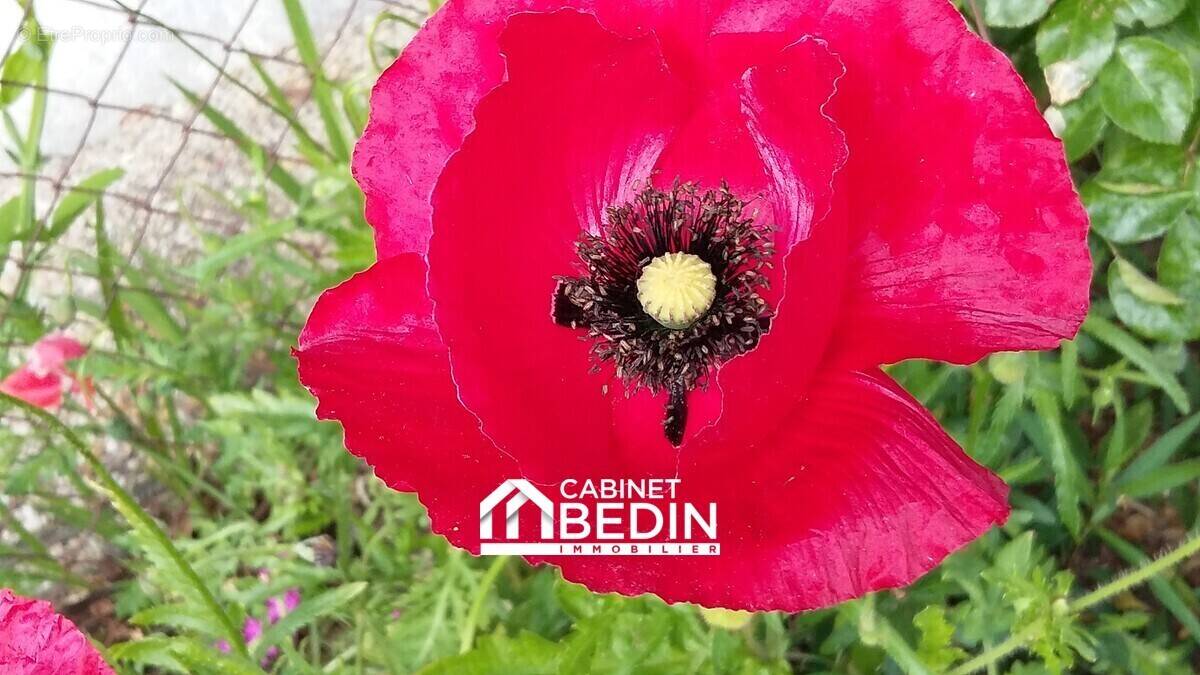 Terrain à LE PORGE