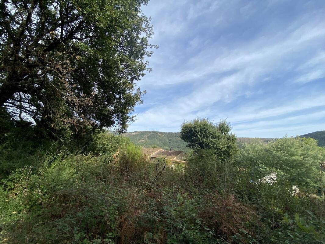 Terrain à VESSEAUX