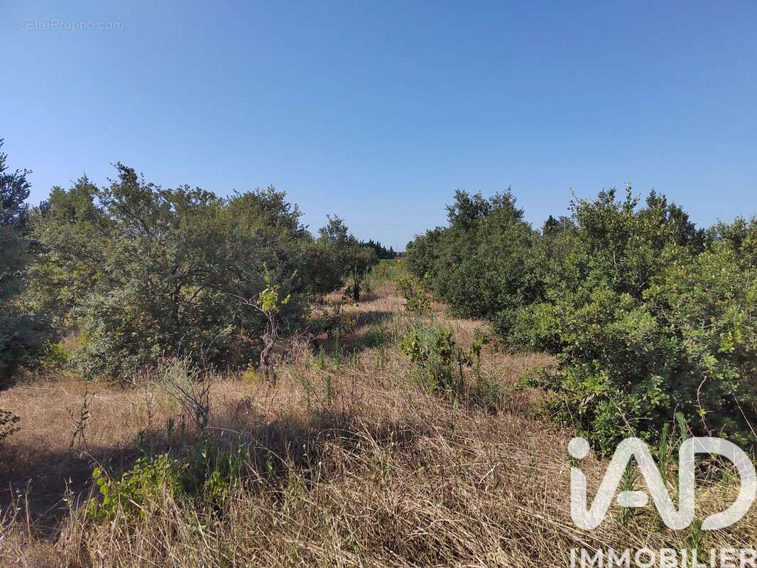 Photo 2 - Terrain à SAINTE-CECILE-LES-VIGNES