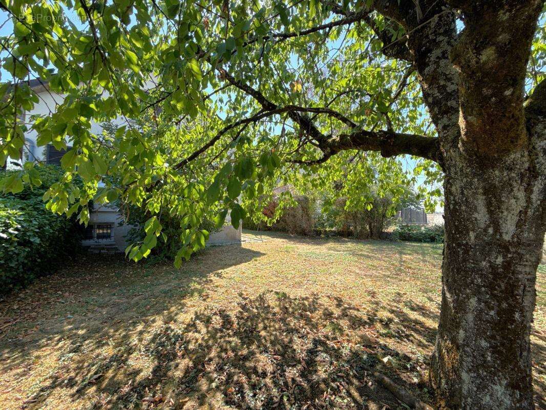 Maison à BRETENIERE de 155,45m² sur sous sol complet, 5 chambres, terrain 719 m² - photo 28