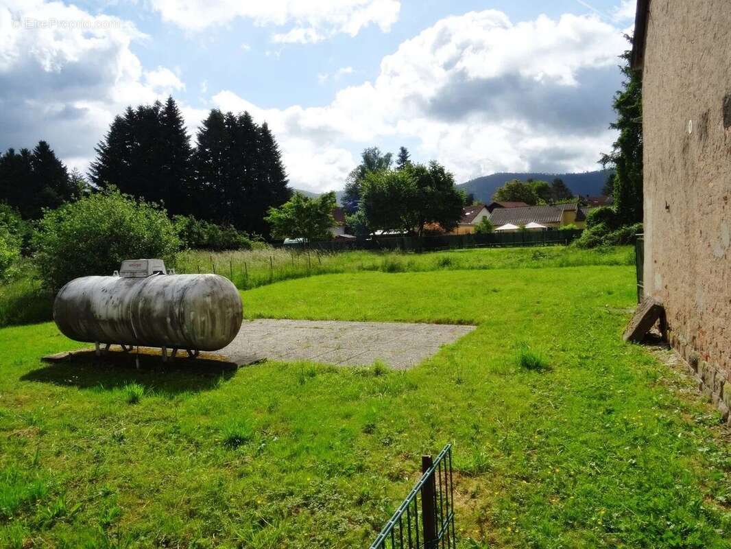 Maison à CELLES-SUR-PLAINE