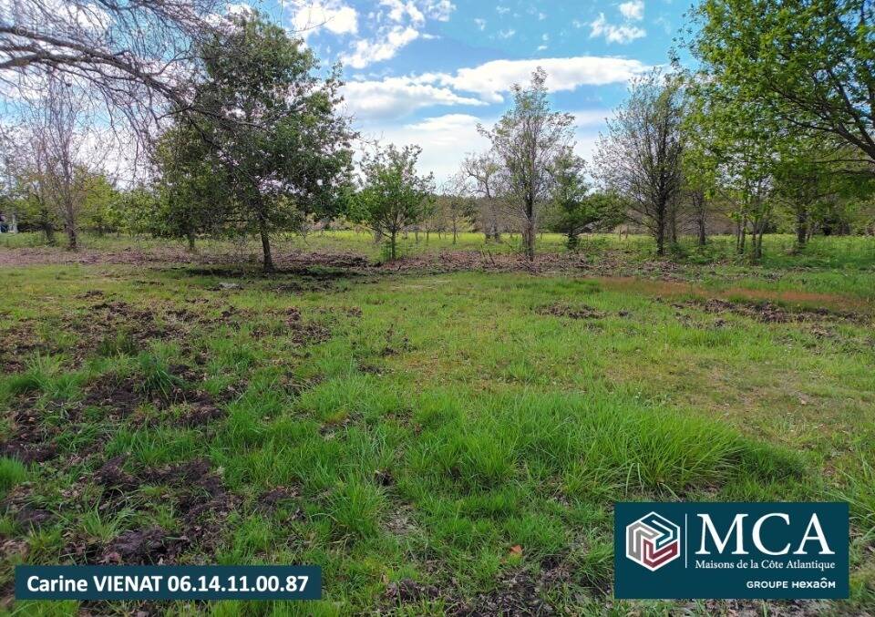 Terrain à GASTES
