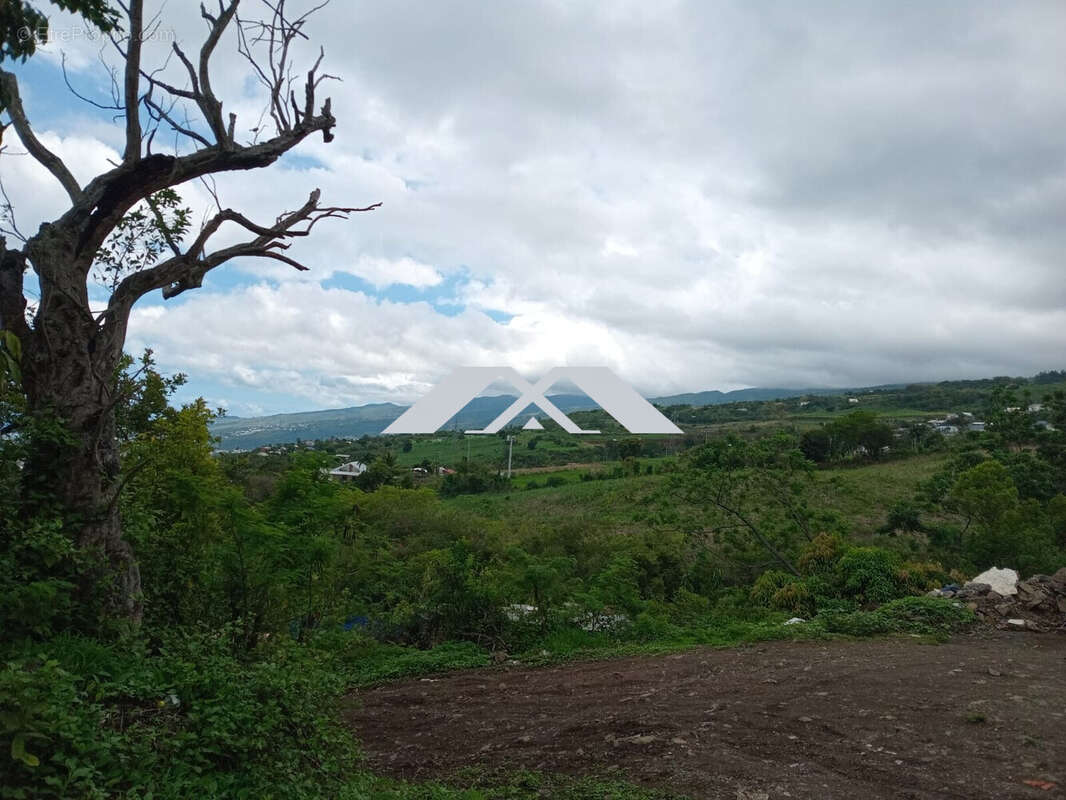 coté vue montagne - Terrain à SAINT-PAUL