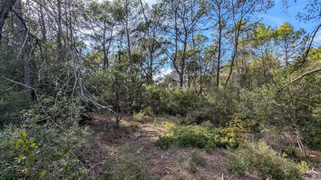 CARCES - Terrain non constructible 9.696m² boisé - photo 5