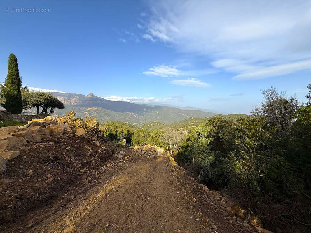 Terrain à SARI-SOLENZARA