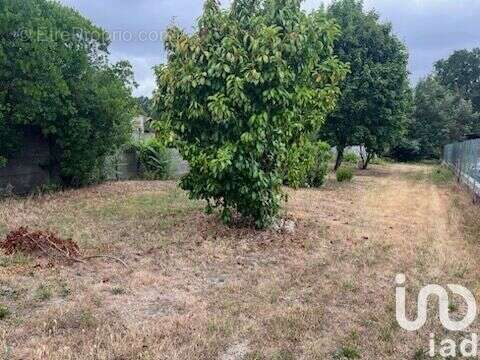 Photo 4 - Maison à MONTENDRE