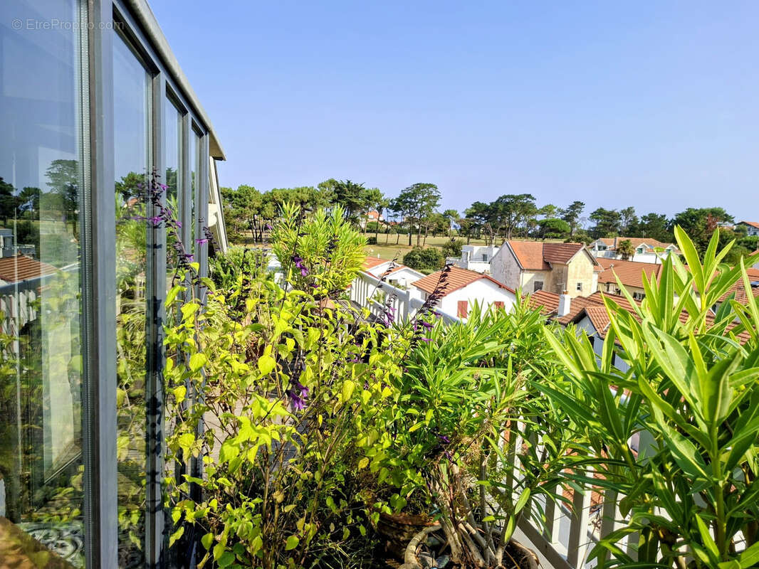 Une terrasse sur le toit - photo 10