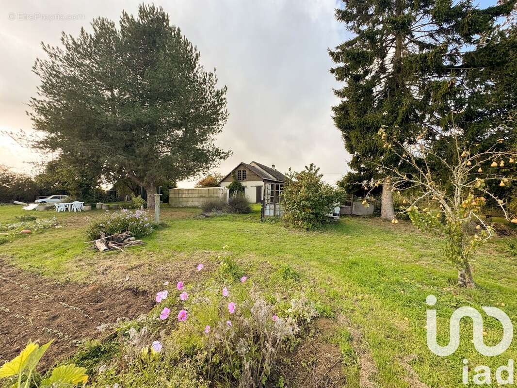 Photo 7 - Maison à LONGNY-AU-PERCHE