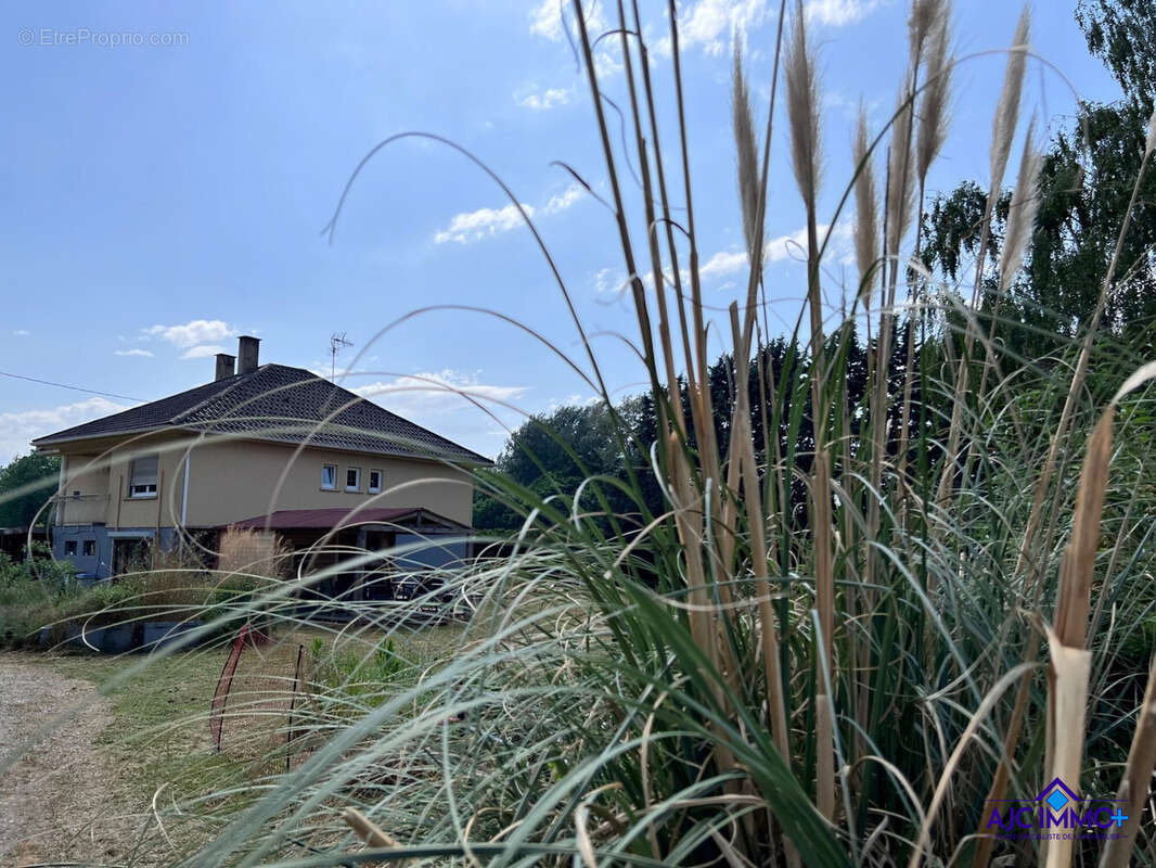 Maison à STRASBOURG