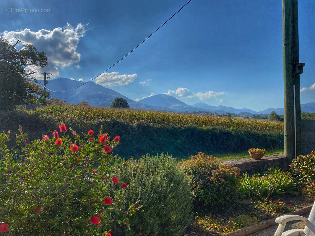 Maison à SAINT-JEAN-PIED-DE-PORT