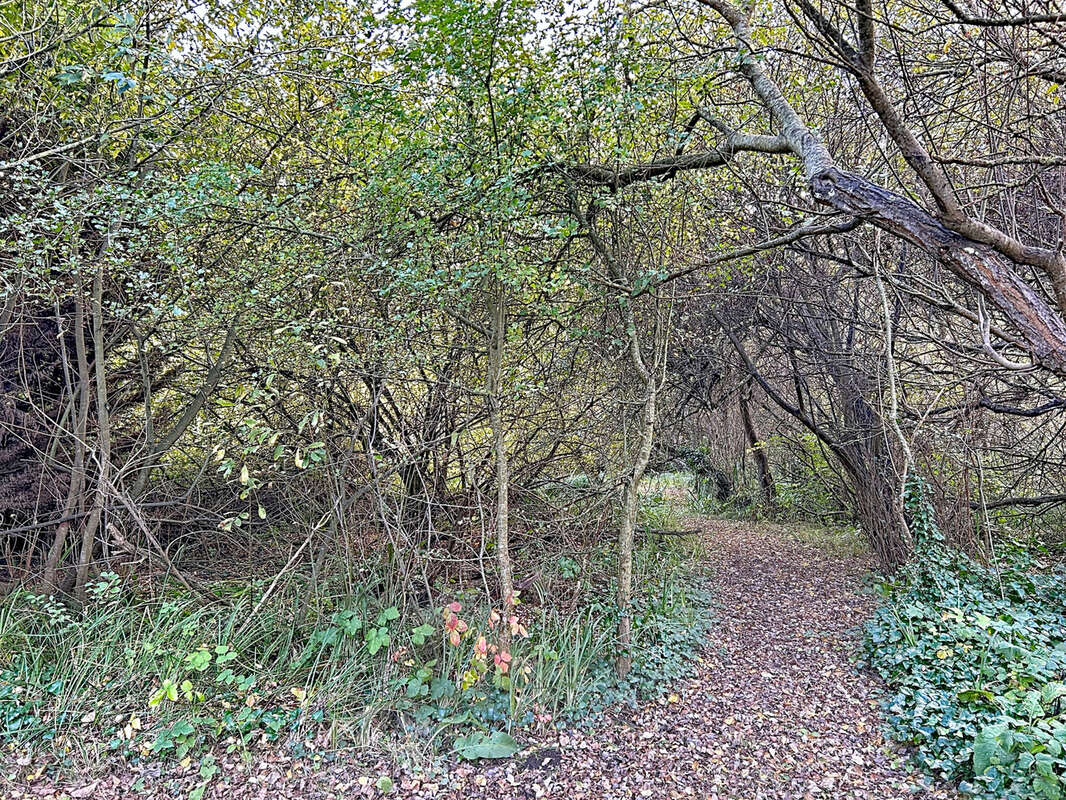 Maison à VIERVILLE-SUR-MER