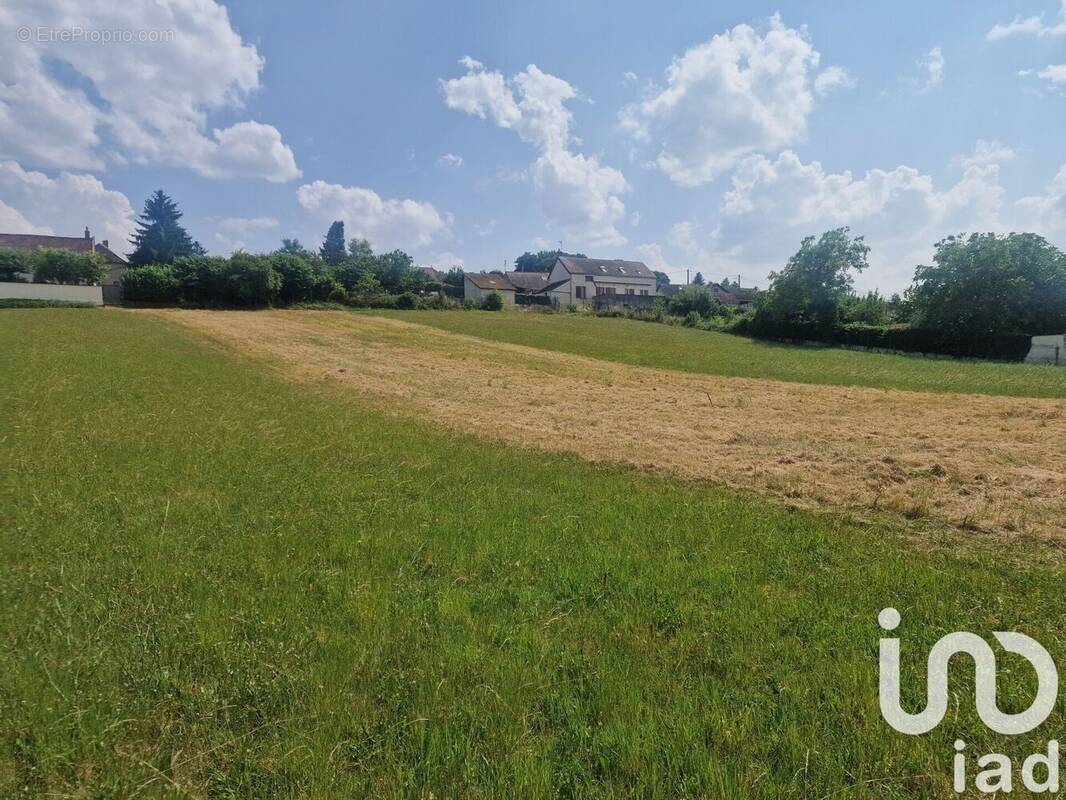 Photo 1 - Terrain à VILLENAVOTTE