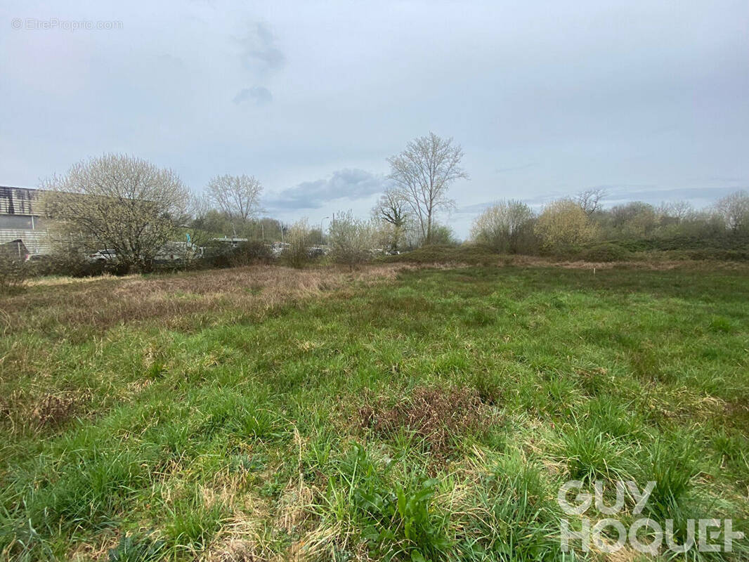 Terrain à NAVARRENX