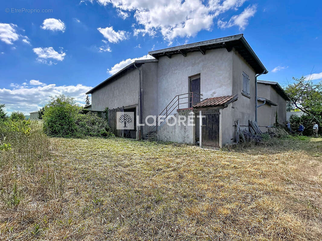 Tènement immobilier à QUINCIE - photo 4