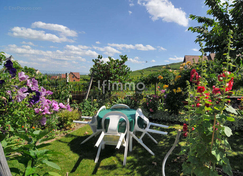 Appartement à AMMERSCHWIHR